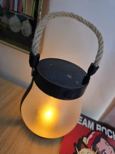 💡 SOLAR FLAME LIGHT™ | SFEERVOL VUURLICHT OP ZONNE-ENERGIE